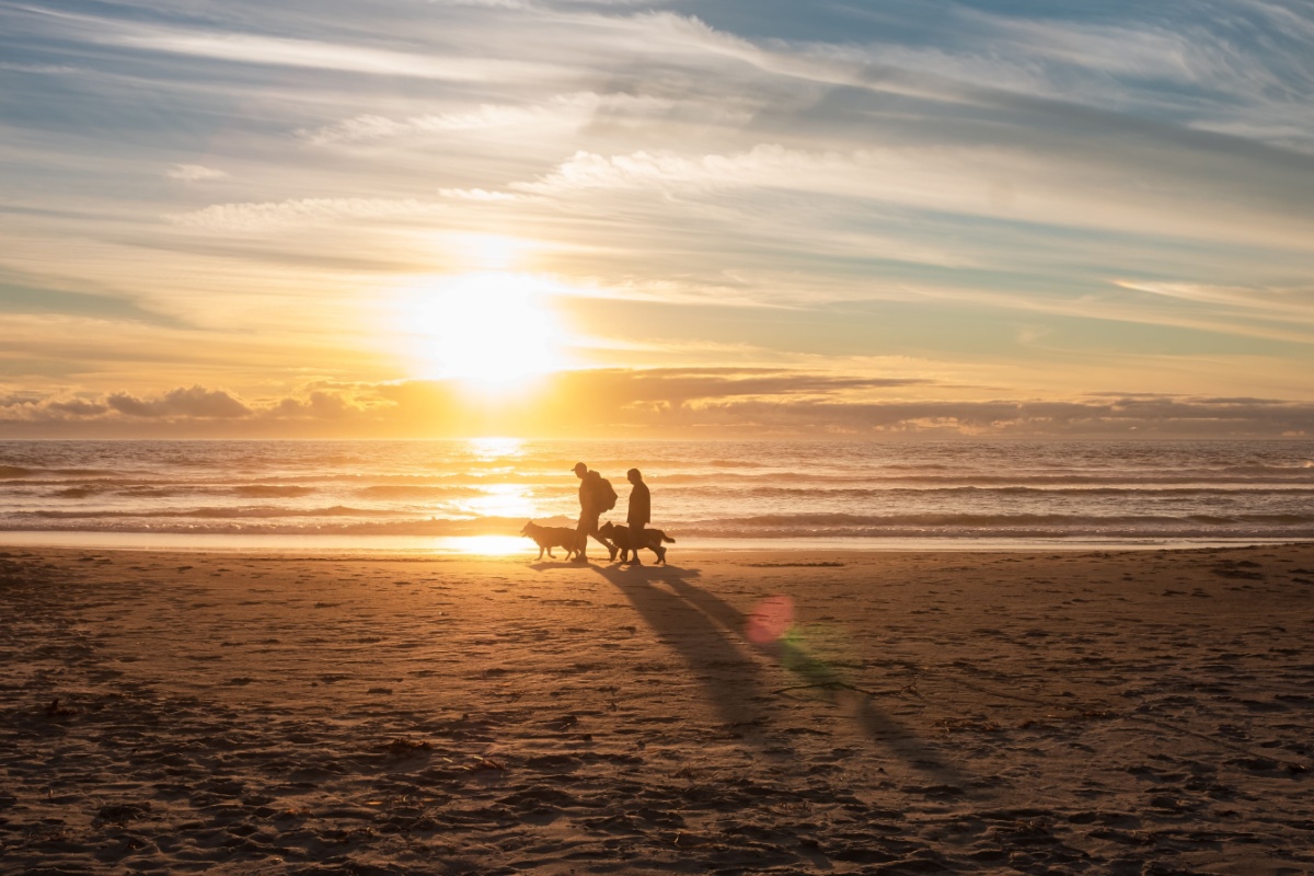 Thing To Do Pet Friendly Properties
